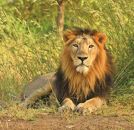 About-Valiant-Print-&-Copy